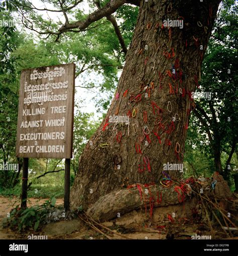 Killing Tree At Choeung Ek Killing Fields In Phnom Penh Cambodia Far