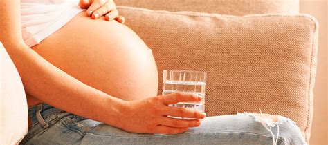 Razones Para Tomar Agua Durante El Embarazo Elevit