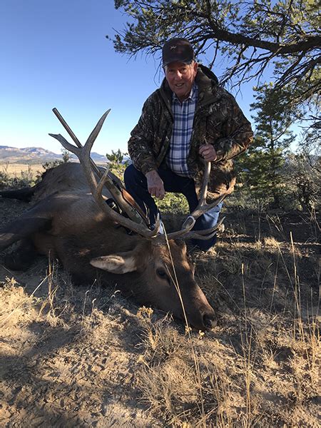 Elk Hunts New Mexico Hunting Bull Elk 516