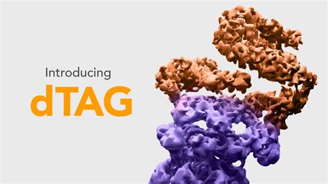 Dtag A Powerful New Tag Based Degradation System Youtube