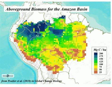 Amazon Basin Location On World Map