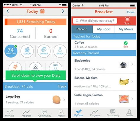 Lose weight and feel great with nutritrack! 7 Best Apps to Track Food for iOS & Android | Free apps ...