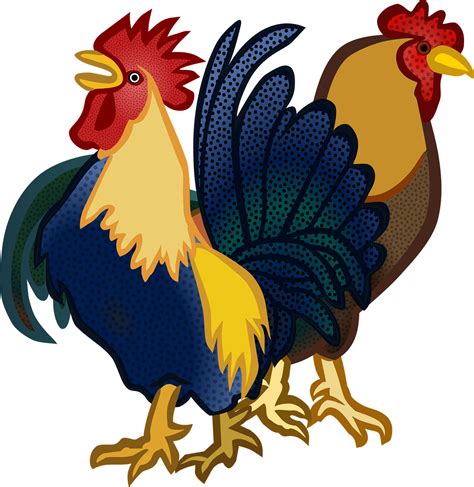 Animals Chickens Cock Cocks Png Picpng