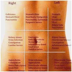 Related posts of anatomy of human abdomen. Lower Left Abdomen Anatomy Female - ovulation symptoms
