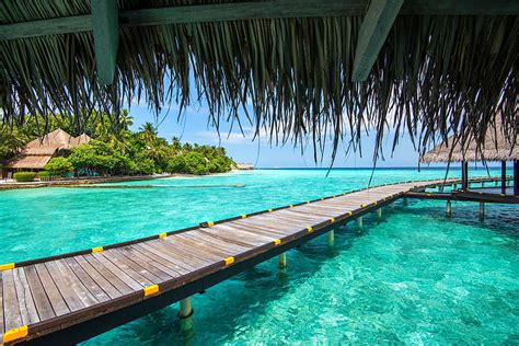 Hd Wallpaper Beige Wooden Beach House Maldives Resort Sea Madives