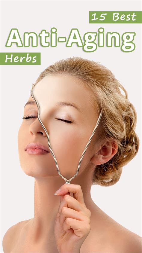 15 Best Anti Aging Herbs Recommended Tips
