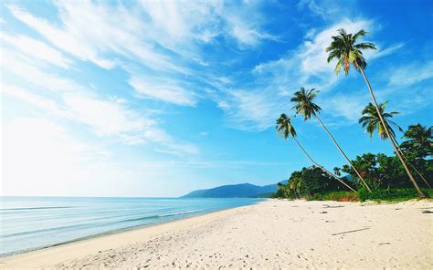 Download Wallpapers Tropical Island Beach Palms Sand