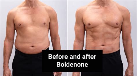 Before And After Boldenone Equipoise Before And After