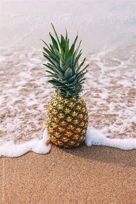 Pineapple On The Beach Summer Time By Eduard Bonnin Pineapple