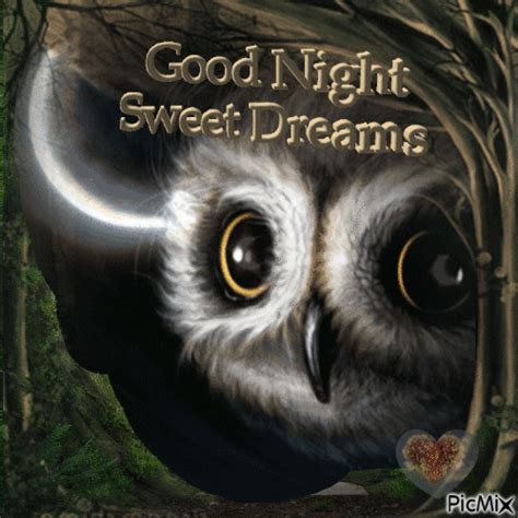 Good Night And Sweet Dreams With Owl Pictures Photos And Images For