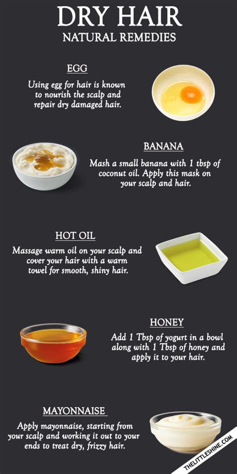 Home Remedies For Dry Hair Andre Roemer
