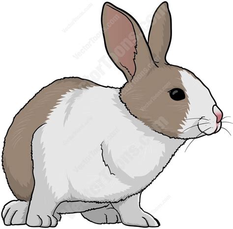 Brown And White Rabbit Facing Left Cartoon Clip Art
