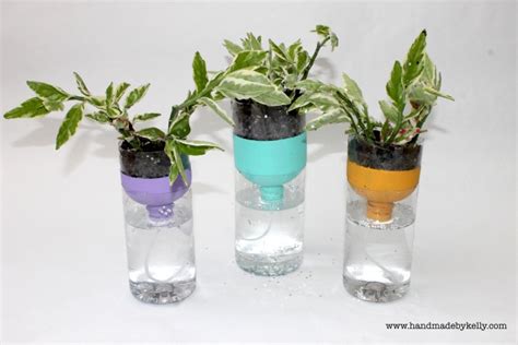 Recycled Self Watering Water Bottle Garden Craft