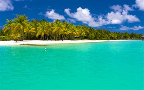 Turquoise Waters Of The Maldives