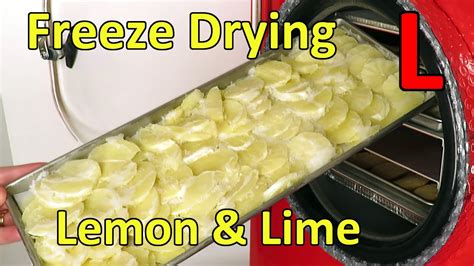 Freeze Drying Lemon And Lime Slices Youtube