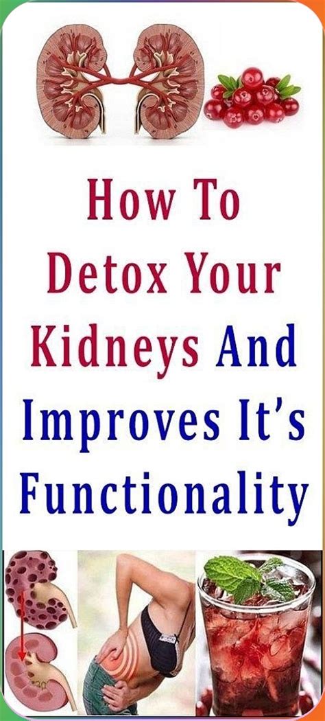 How To Detox Your Kidneys And Improve Its Functionality Natural