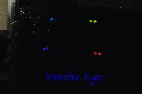 Monster Eyes Emily Ann Interiors
