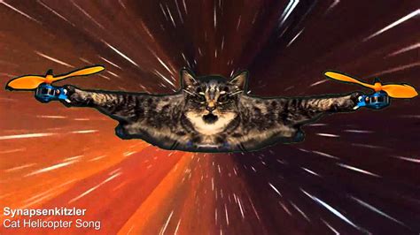 Cat Helicopter Drone Song Flying Taxidermy Catcopter Synapsenkitzler