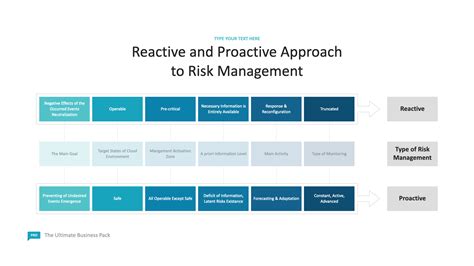 Reactive And Proactive Approach To Risk Management Scheme