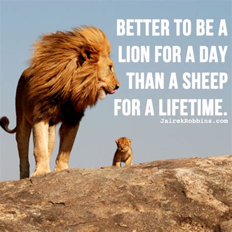 Lion Motivational Quotes Quotesgram