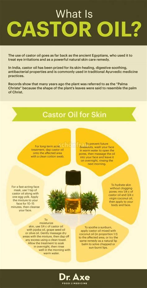 Castor Oil Benefits Uses Dosage And Side Effects Castor Oil