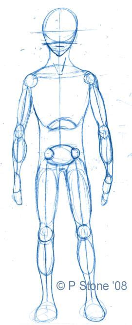 How To Draw A Basic Manga Character Body Proportions