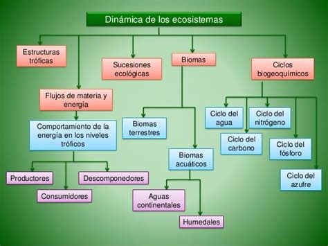 Biología Pau Ecología Dinámica De Los Ecosistemas Esp