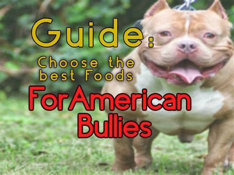 The best dry dog food for your pit bull; Choosing the Right Foods for American Bully Dogs Guide