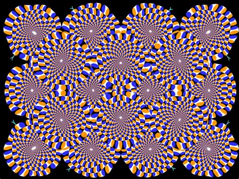 Trippy Illusion Picture Ebaums World