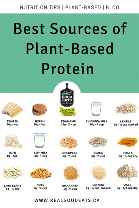 Best Sources Of Plant Based Protein