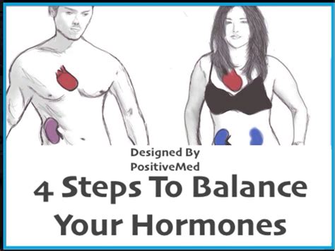 4 Steps To Balance Your Hormones Musely