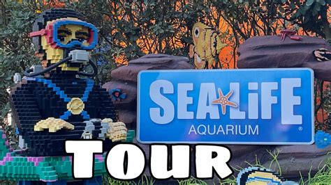 Sealife Aquarium Legoland California Tour Annasworld Youtube