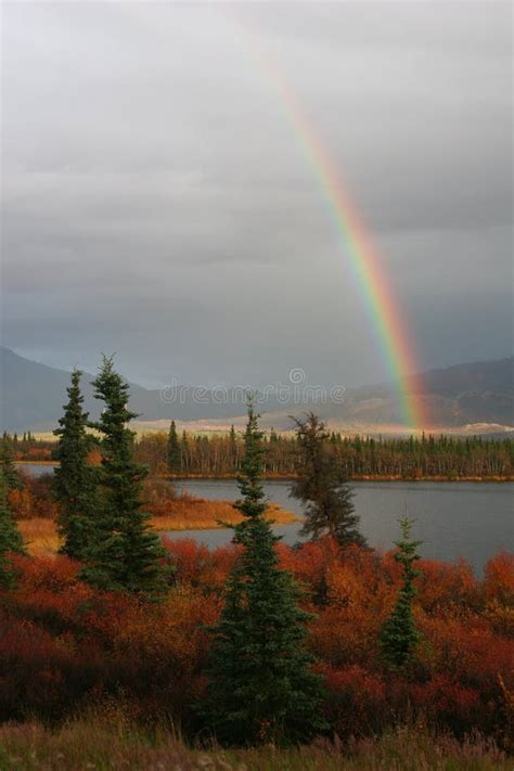 Rainbow In Alaska Stock Image Image Of Forest Autumn 1634659
