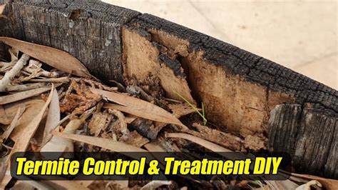 How To Termite Control Termite Treatment Diy Do It Yourself Youtube