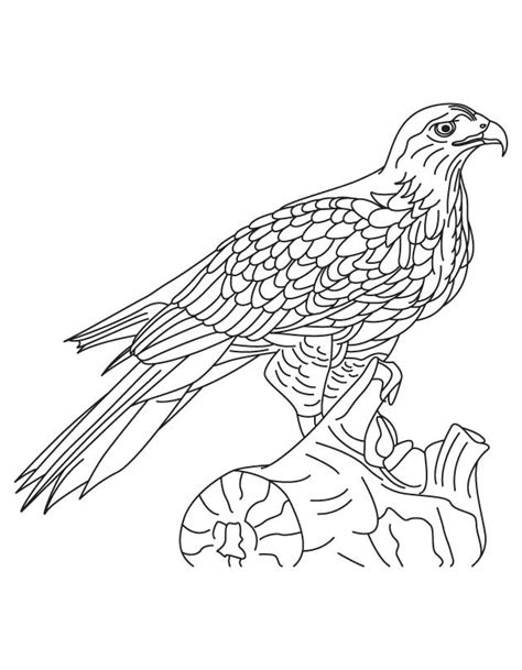 Silver Hawks Coloring Coloring Pages