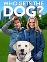 Prime Video: Who Gets The Dog