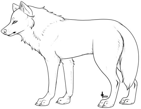 Another Generic Wolf Lineart Template By Stelliformed On Deviantart