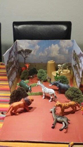 African Savanna Biome Project - Pets Lovers