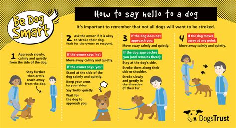 Safety Learn With Dogs Trust