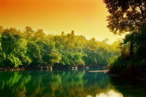 Sunset In Jungle Stock Image Image Of Grass Green Nature 8659383