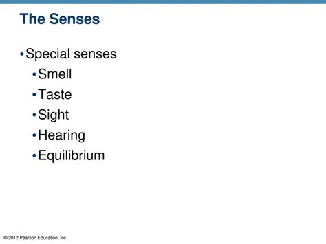 8 Special Senses Ppt Download