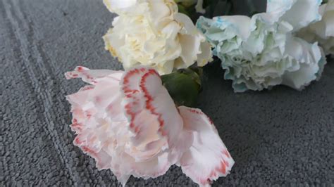 Tie Dye Flowers Color Changing Carnations Diy Experiment Youtube