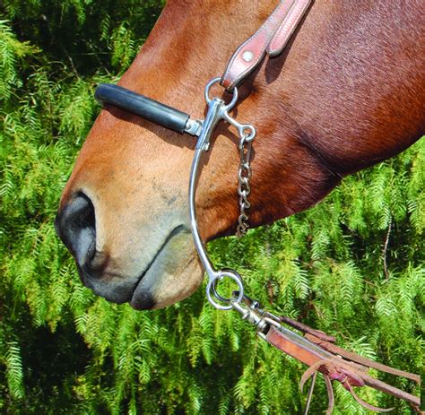 Feuerwerk Schlecht Box Embocaduras Para Caballos Ausbuchtung