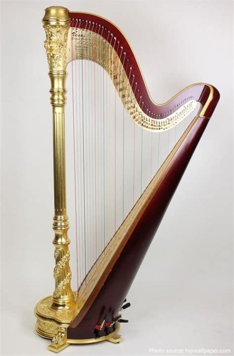 Interesting Facts About Harps Just Fun Facts