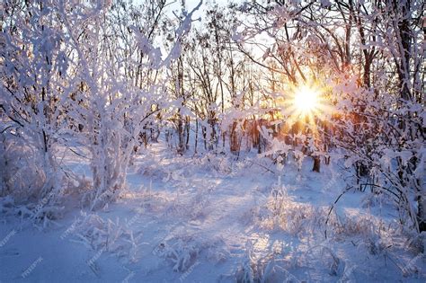 Premium Photo Beautiful Winter Landscape At Sunset Sunrise With