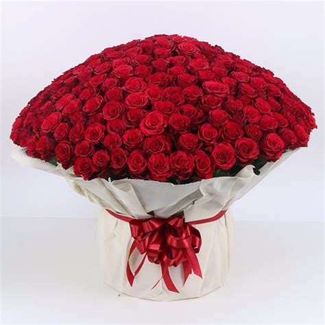 Red Bouquet Of Roses Send Bouquet Of 500 Red Roses