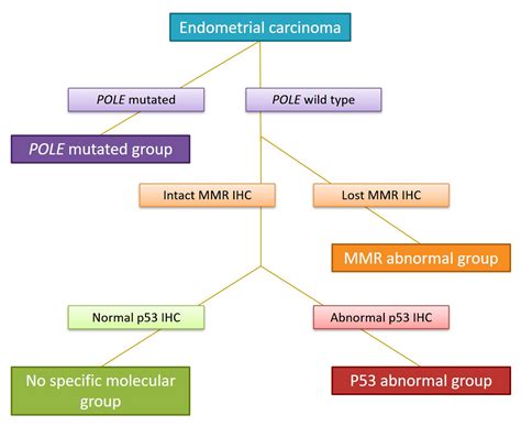 Molecular Classification Of Endometrial Carcinoma On My XXX Hot Girl
