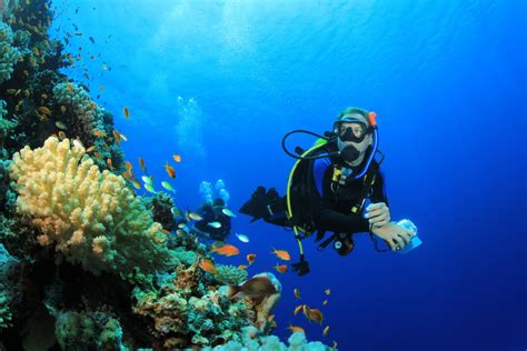 Water Sports Activities In Aruba Tube Riding Snorkeling Tours