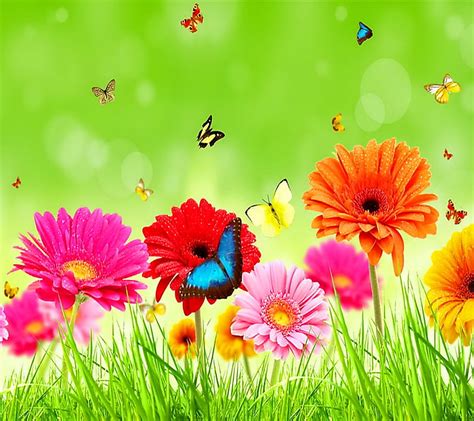 Spring Flowers Butterflies Hd Wallpaper Peakpx