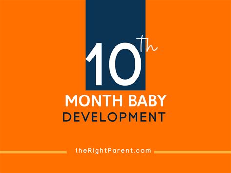 Infant Development 10 Month Old Baby Care And Tips Therightparent